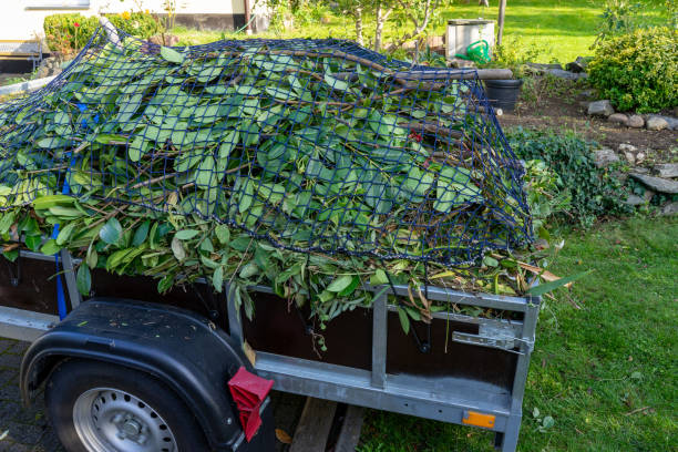 Best Shed Removal  in Dresden, OH